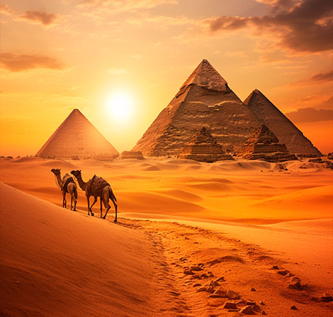 Egytp e visa 埃及電子簽證申請