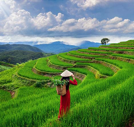 Vietnam electronic visa 越南電子簽證